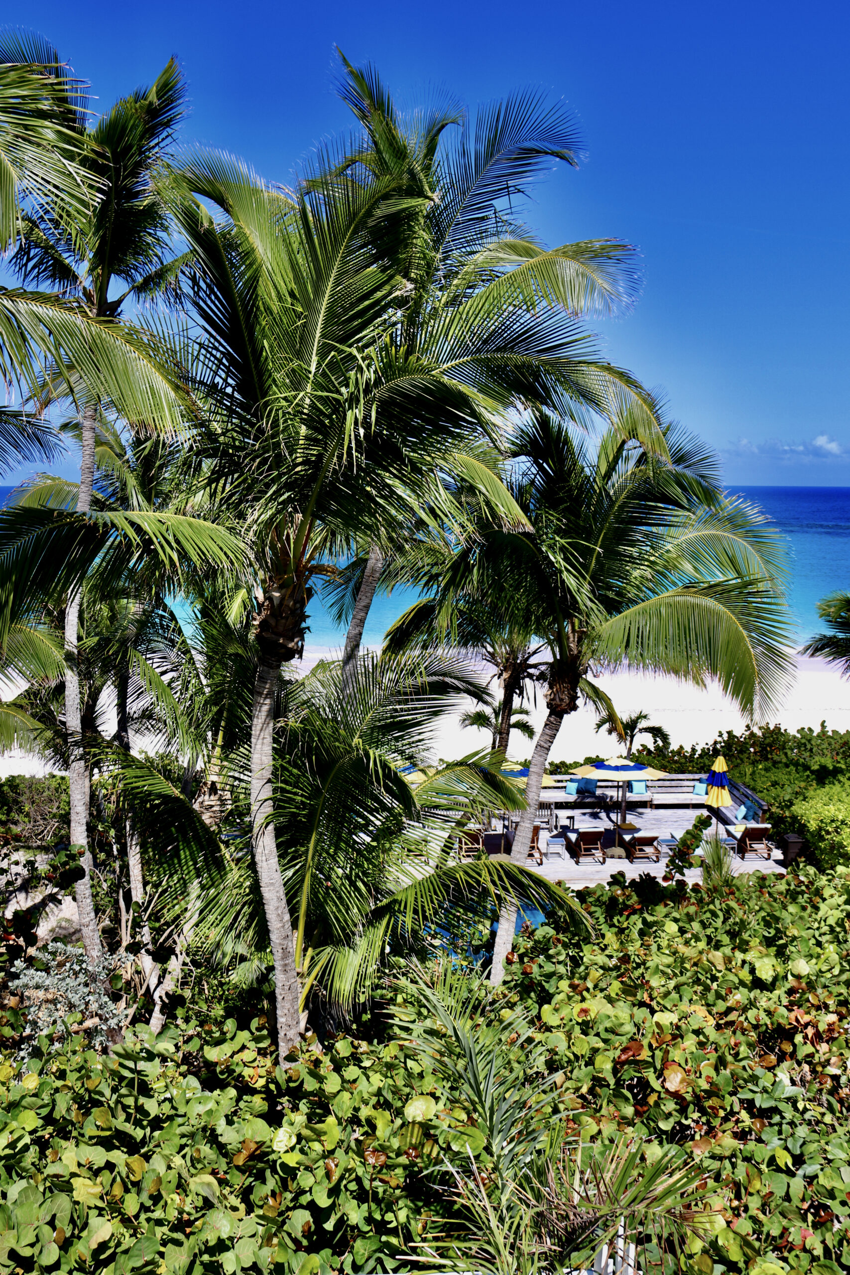 Beach Side View